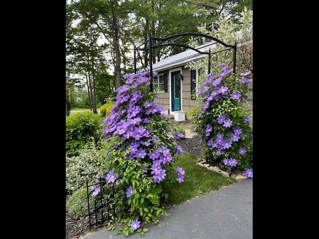 245 Cotton Hill Road Gilford, NH 03249 - Photo 20 of 40