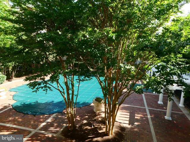 a view of a tree in front of a house