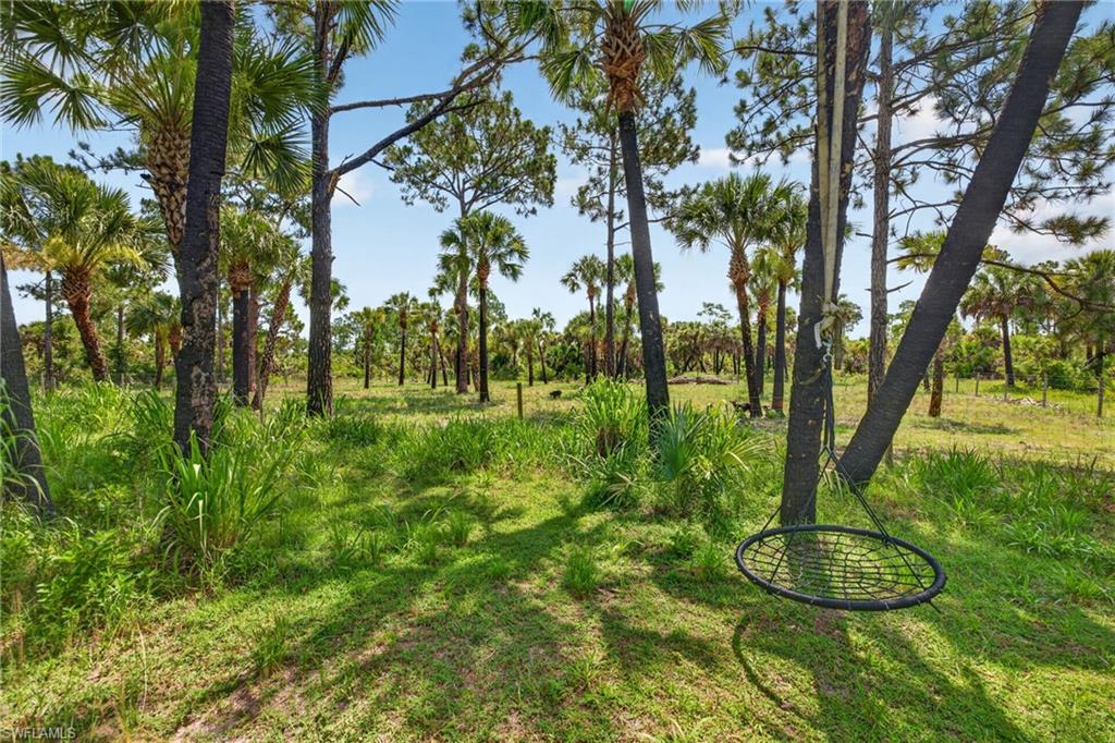 Naples Fl Naples Way Naples, FL 34117 - Photo 3 of 12