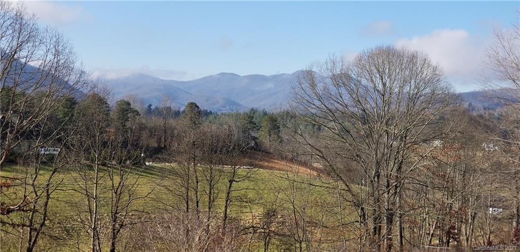 98 Gibbs Road Leicester, NC 28748 - Photo 39 of 40 Gallery Image 39