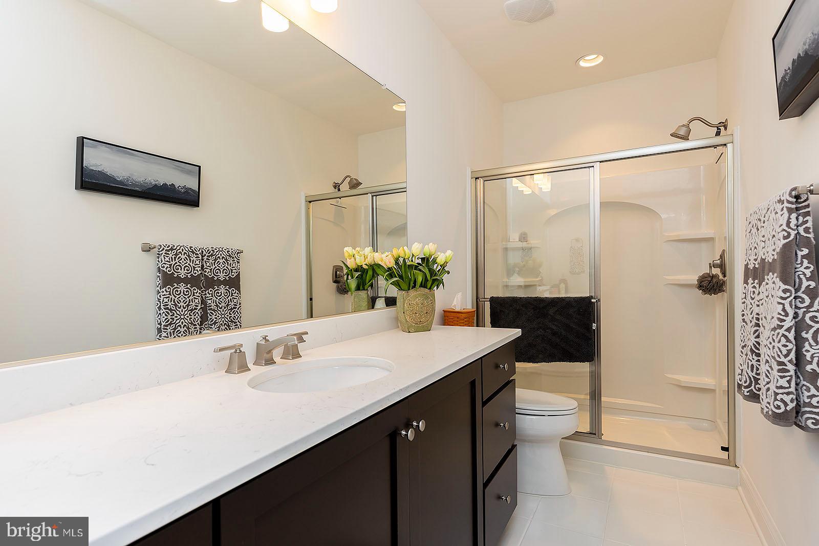 105 Witherod Ct Lake Front Royal, VA 22630 - Photo 34 of 58 Guest Bathroom 3 Basement