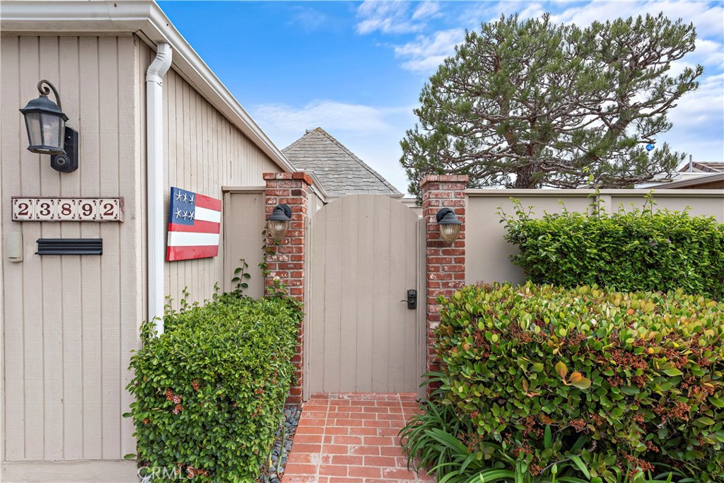 23892 Taranto Bay Dana Point, CA 92629 - Photo 34 of 54 a backyard of a house with lots of green space