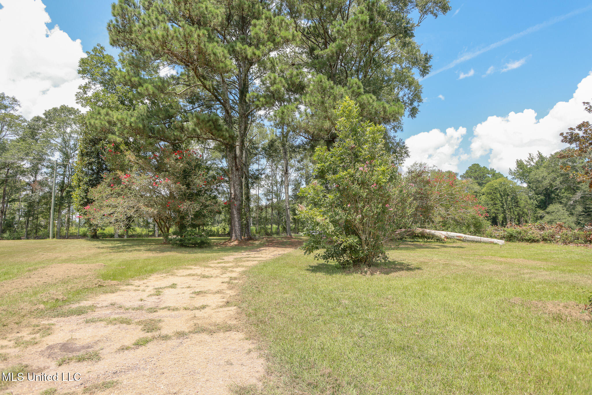 7825 Old Hillsboro Road Forest, MS 39074 - Photo 44 of 44 IMG_1883