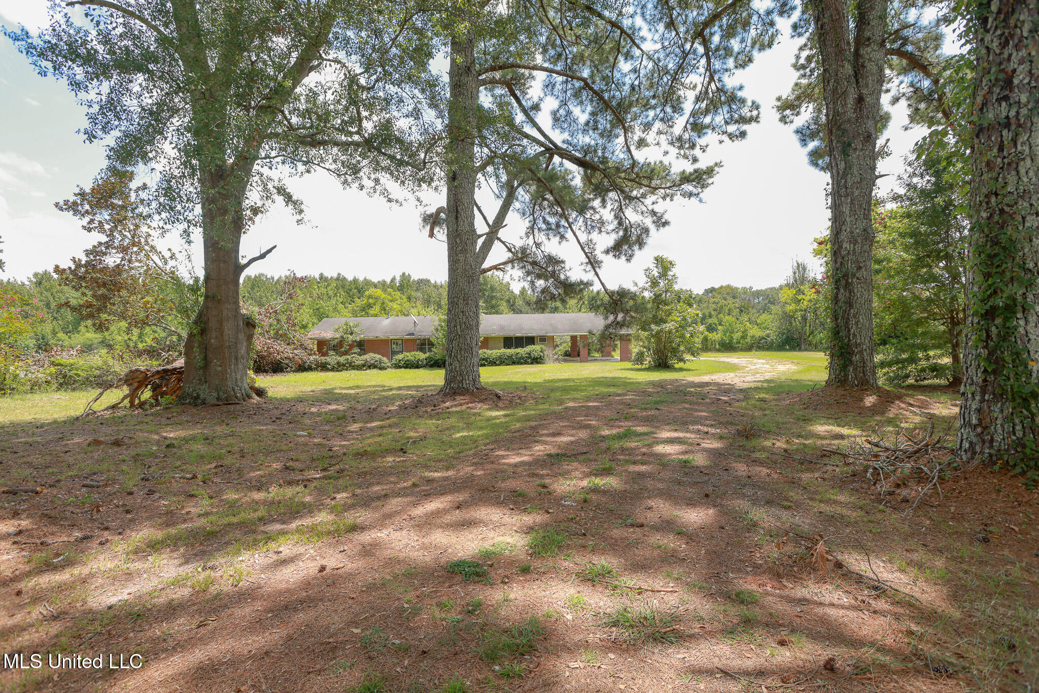 7825 Old Hillsboro Road Forest, MS 39074 - Photo 7 of 44 IMG_1816