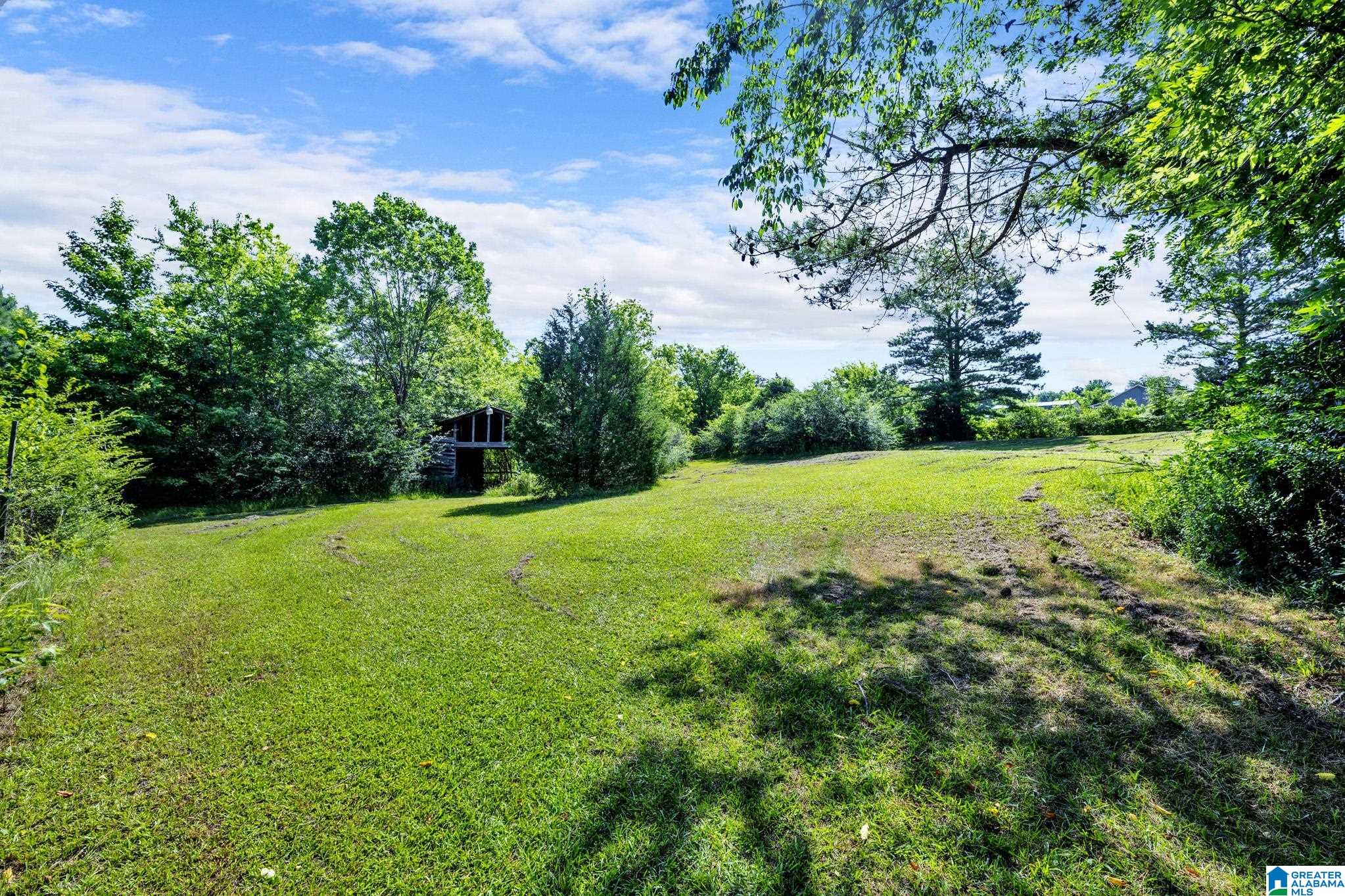 395 Hollingsworth Road Cleveland, AL 35049 - Photo 6 of 27