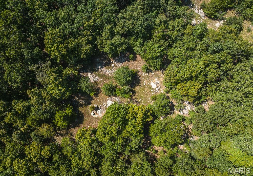 5 Buck Mountain Road Ironton, MO 63650 - Photo 2 of 13