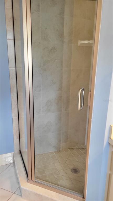 11215 Southwest 63rd Terrace Road Ocala, FL 34476 - Photo 11 of 13 a bathroom with a glass door