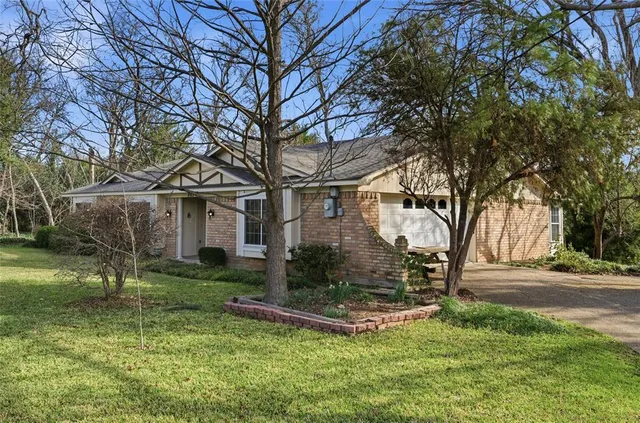 a view of a garden with a tree
