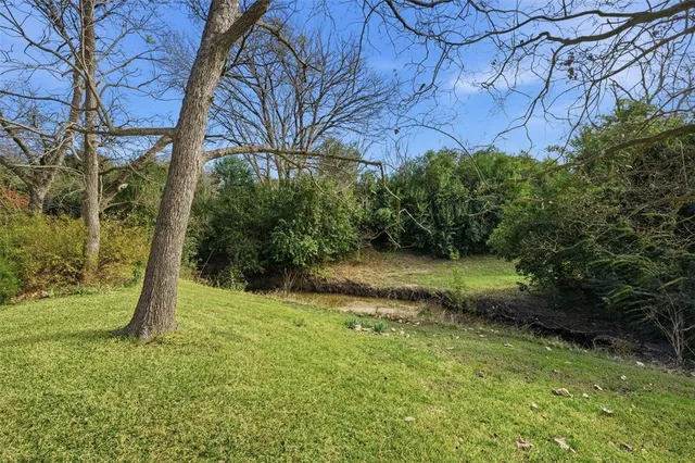 a view of backyard with green space