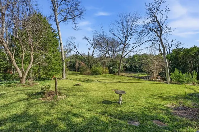 a view of a park with large trees