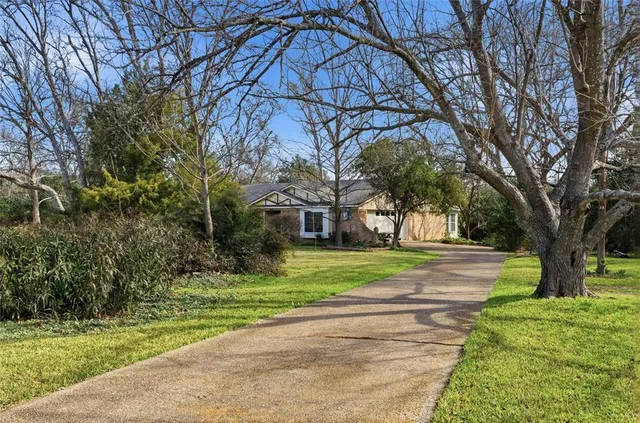 a view of a trees in front of a house