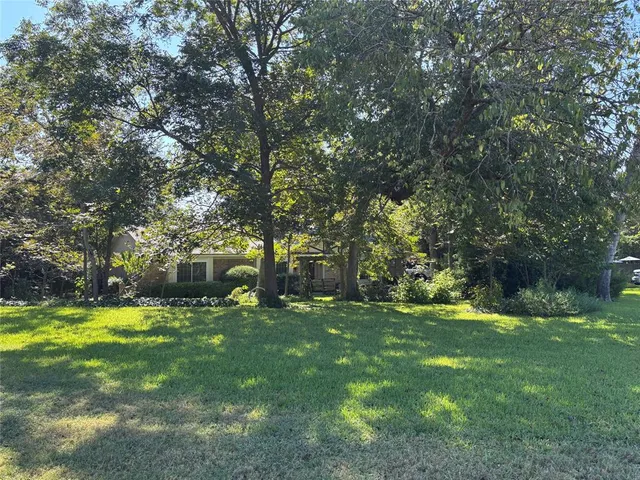 a view of a tree in a yard