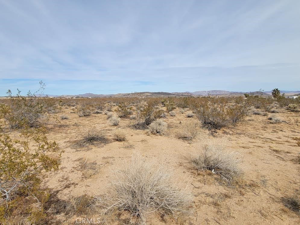 0 Amargon Road Landers, CA 92285 - Photo 5 of 8 northerly