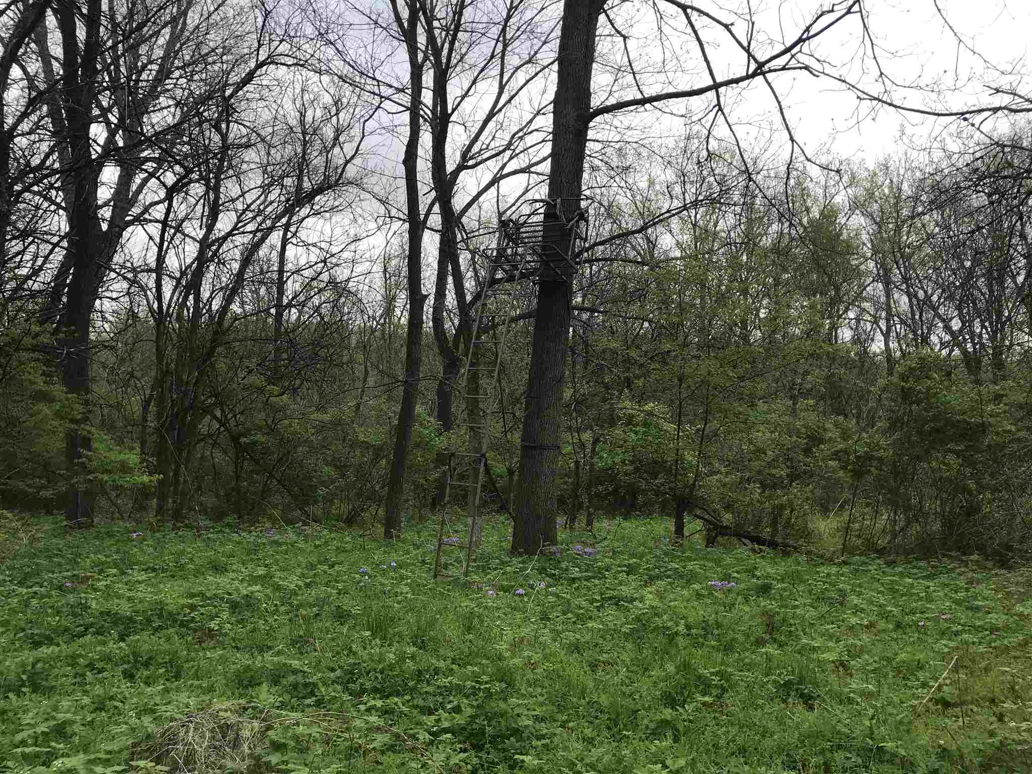 0 North Savage Road Brimfield, IL 61517 - Photo 13 of 17 Gallery Image 13
