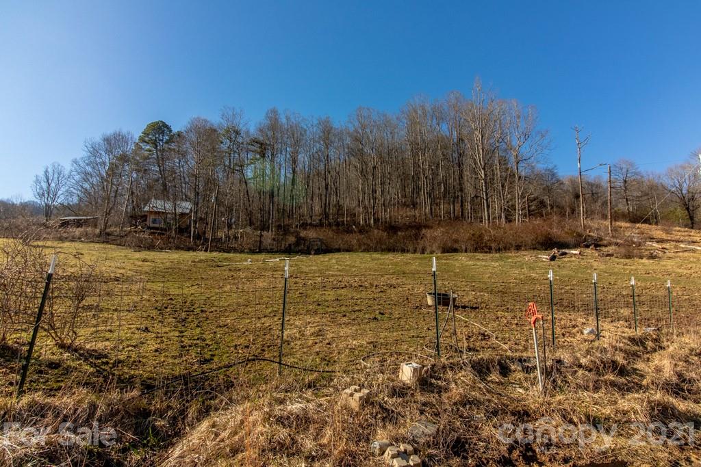 1000 Clarks Branch Road Leicester, NC 28748 - Photo 19 of 25 Gallery Image 19