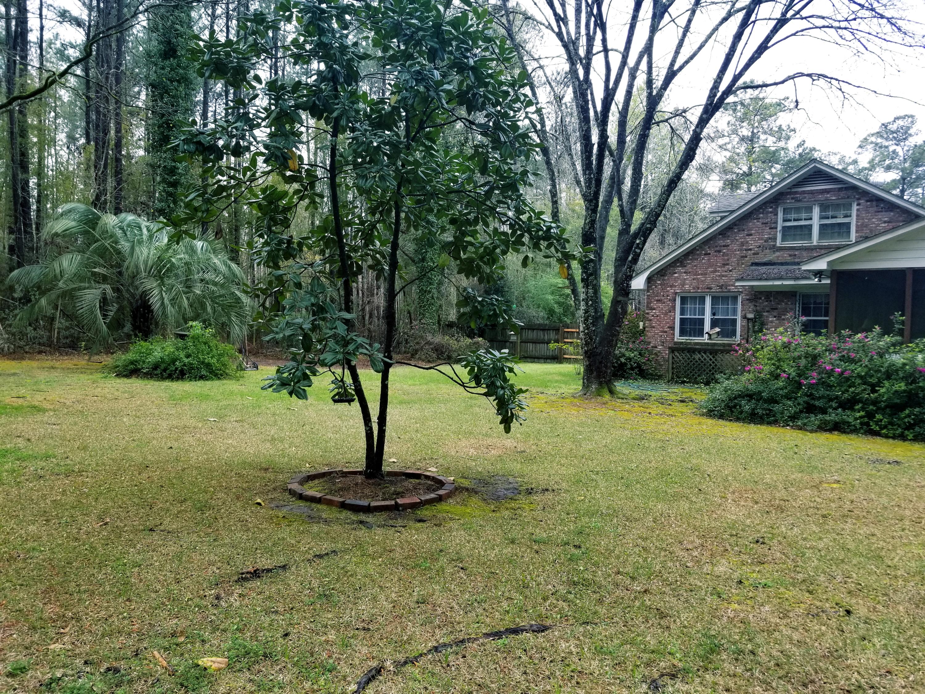 23938 Low Country Highway Ruffin, SC 29475 - Photo 24 of 33 20180319_113834
