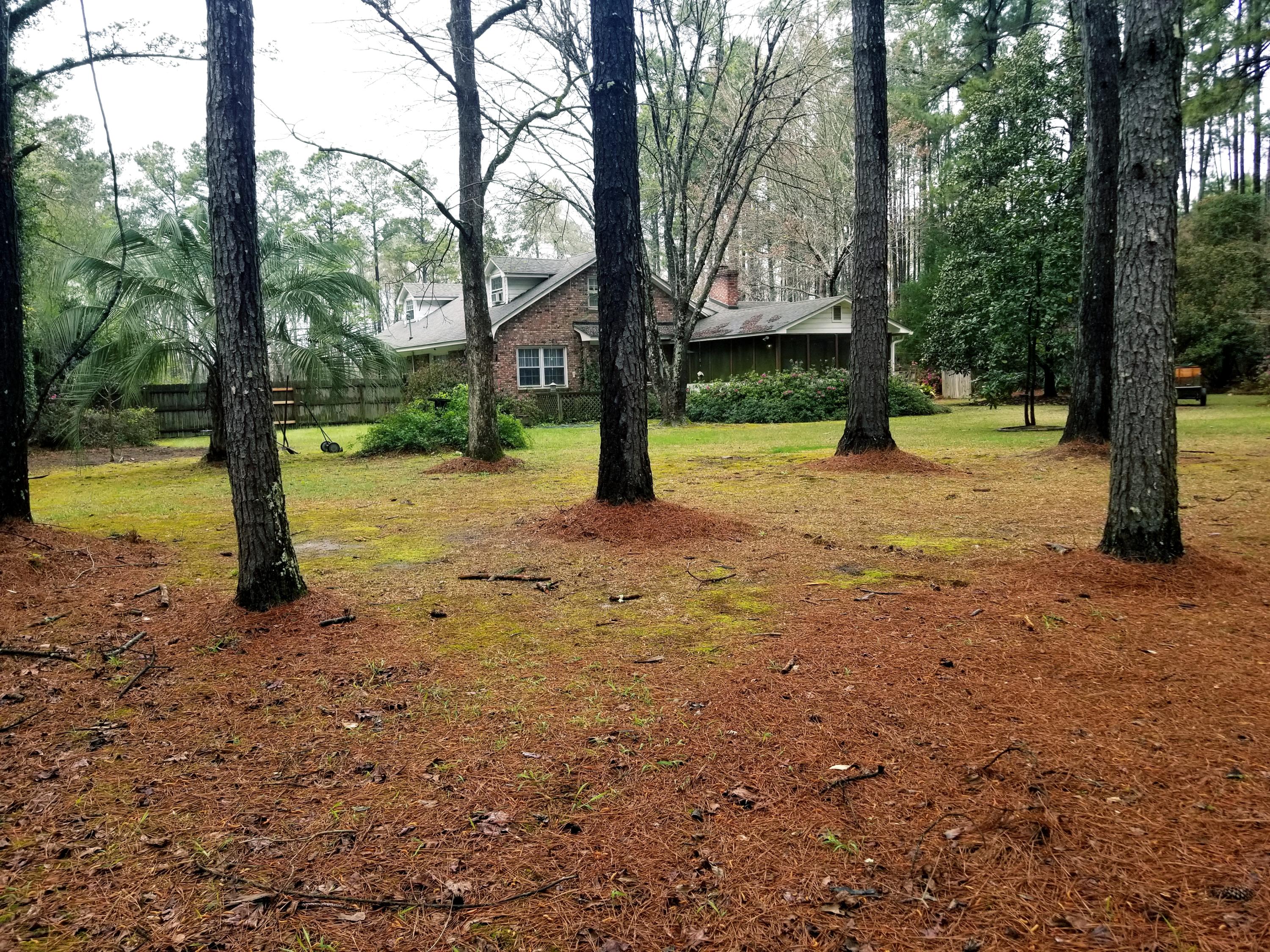 23938 Low Country Highway Ruffin, SC 29475 - Photo 25 of 33 20180319_113901