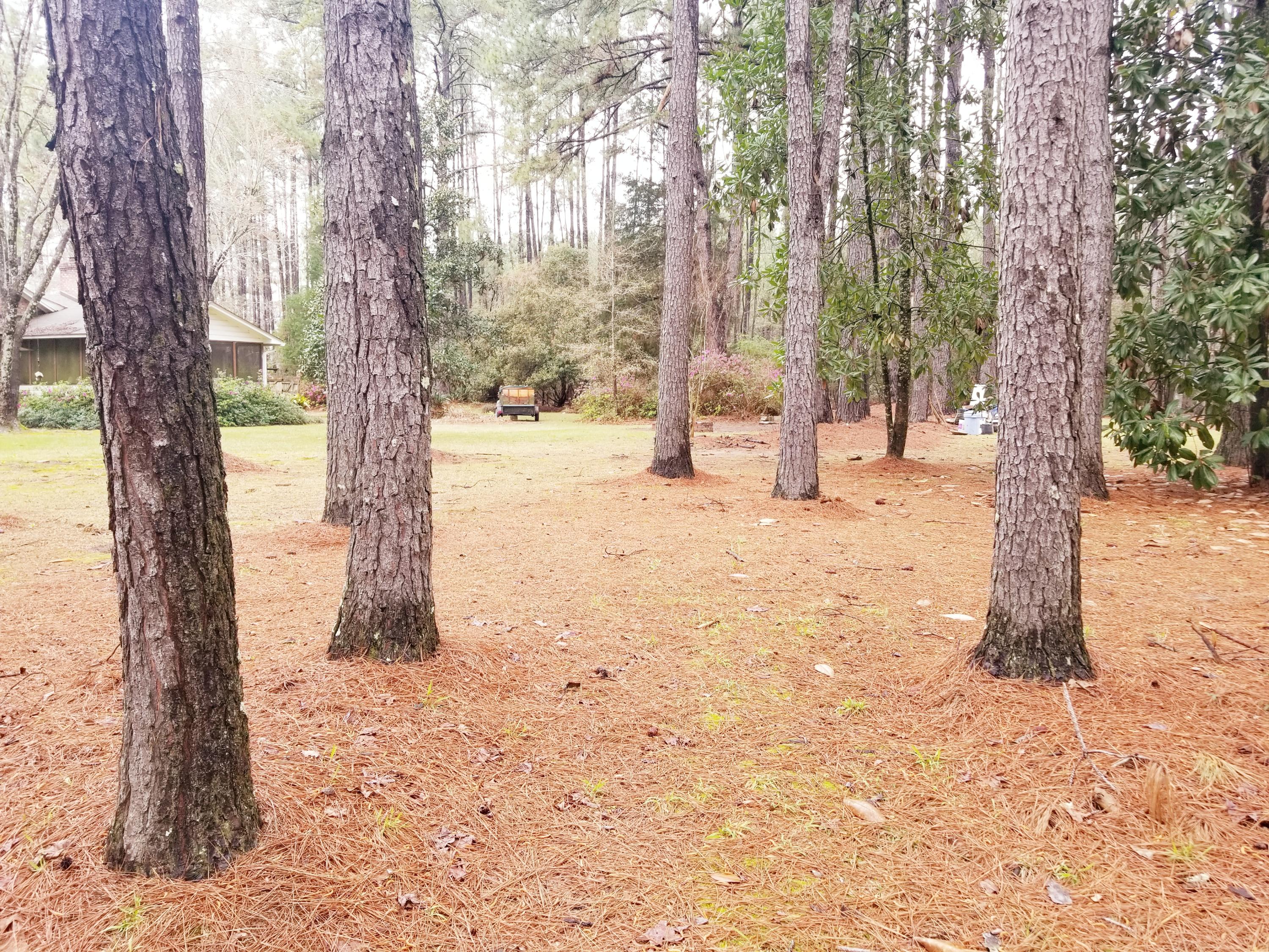 23938 Low Country Highway Ruffin, SC 29475 - Photo 26 of 33 20180319_113919