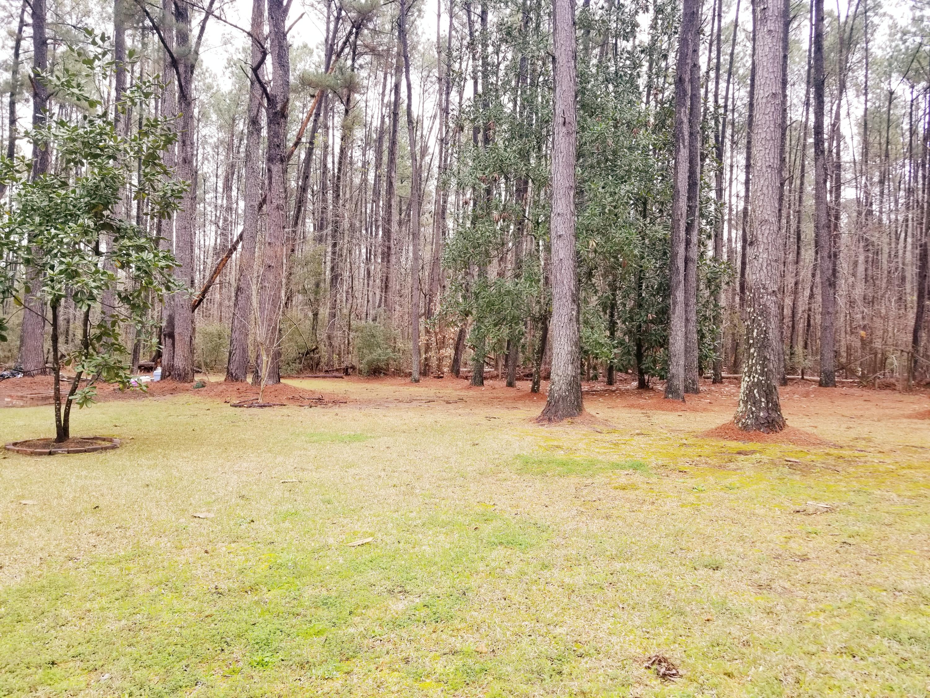 23938 Low Country Highway Ruffin, SC 29475 - Photo 28 of 33 20180319_114007