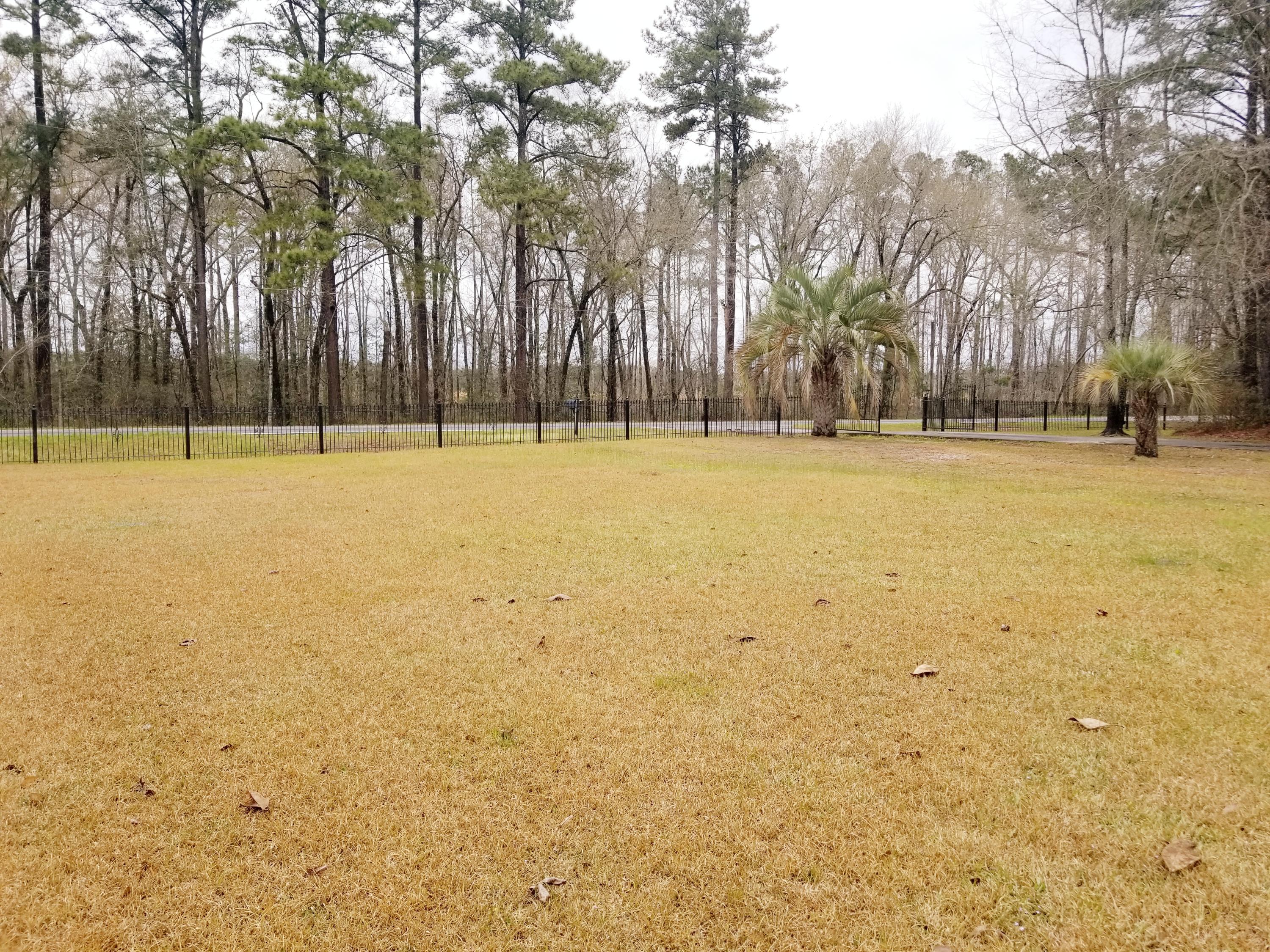 23938 Low Country Highway Ruffin, SC 29475 - Photo 31 of 33 20180319_114735