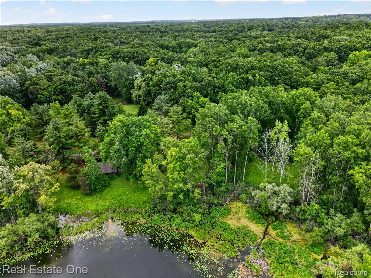 425 Courtney Road Leonard, MI 48367 - Photo 78 of 89 Expansive wooded acreage bordering a body of water, featuring dense green foliage and a secluded structure