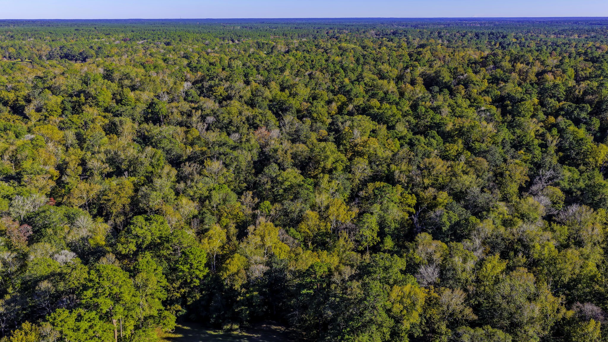 Tbd Rolling Rdg Road Goodrich, TX 77335 - Photo 3 of 3 a view of a field with an outdoor space