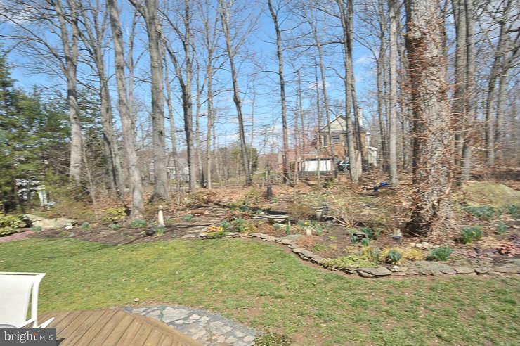 10940 Blue Roan Road Oakton, VA 22124 - Photo 30 of 30 BACK YARD