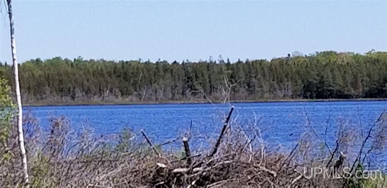 Tbd Kelly Road Gulliver, MI 49840 - Photo 16 of 20 Gallery Image 16