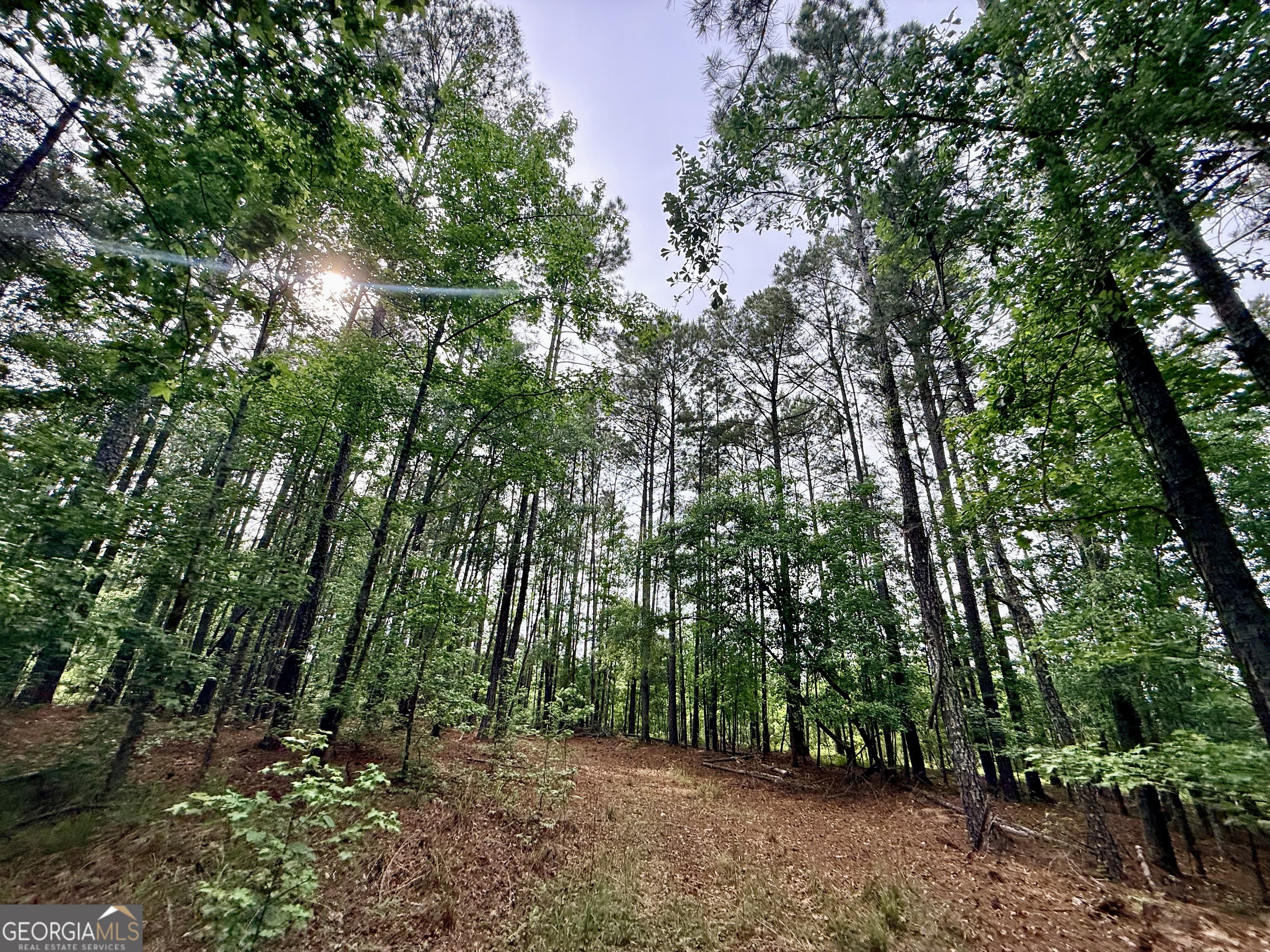 715 Fulsome Creek Road Sparta, GA 31087 - Photo 83 of 117