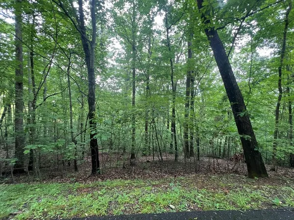 $30,000 | 0 Ash Branch Circle, Hayesville, NC 28904