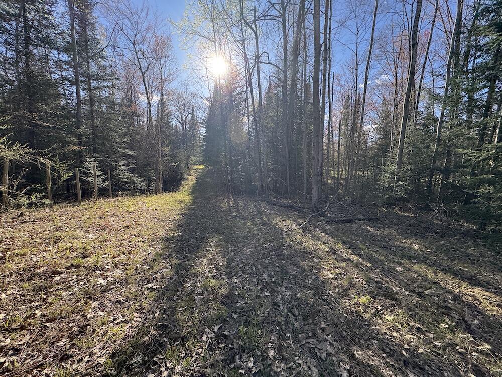 Lot 9 V/l Wildwood Road Alger, MI 48610 - Photo 6 of 40 IMG_2755