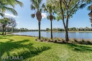 a palm tree sitting in a yard with swimming pool