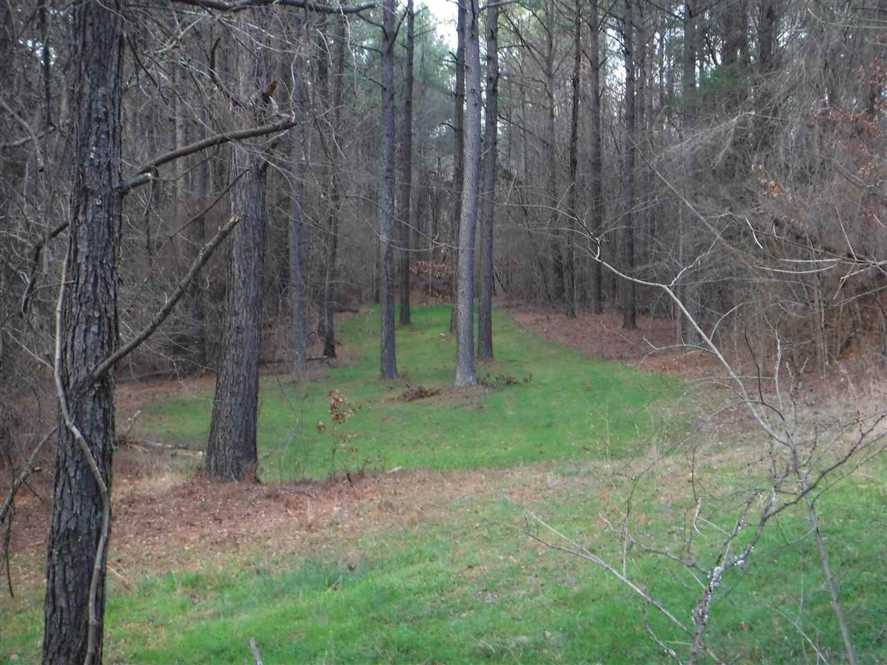 0 Chisolm Road Lexington, MS 39095 - Photo 1 of 16 Photo 1