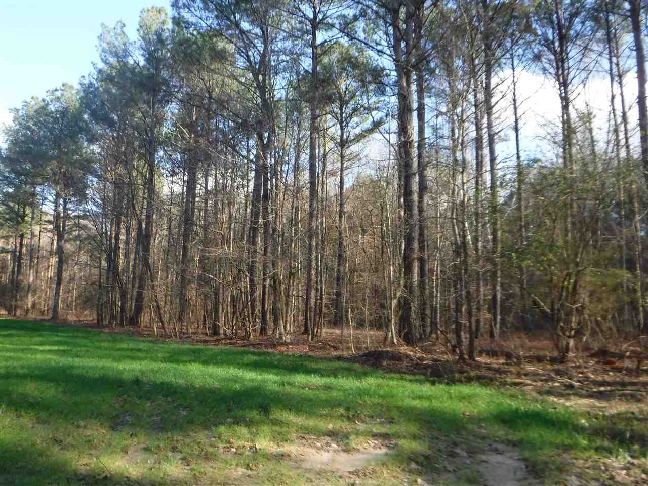 0 Chisolm Road Lexington, MS 39095 - Photo 3 of 16 Photo 3
