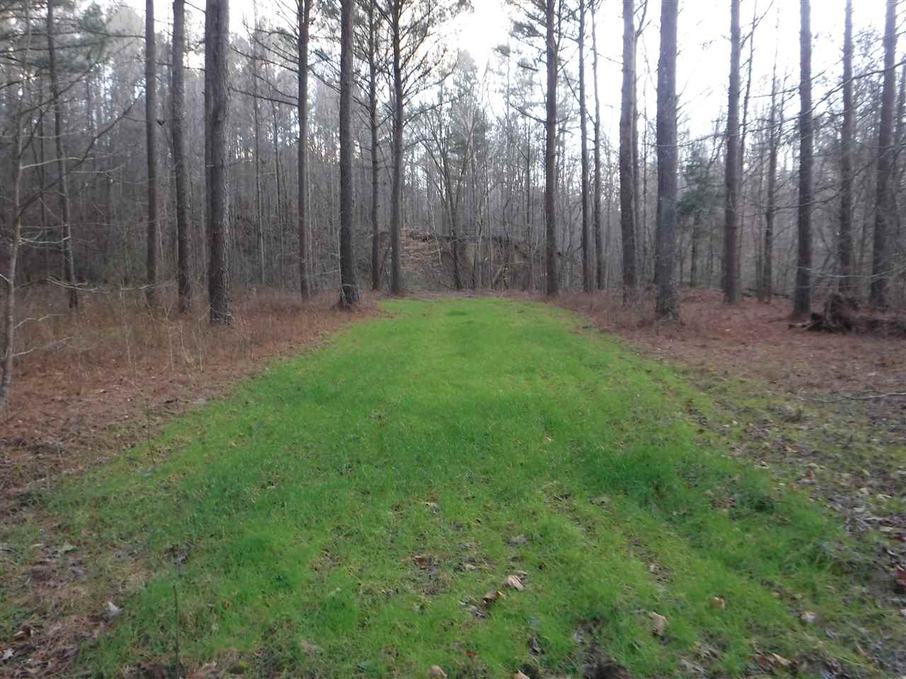 0 Chisolm Road Lexington, MS 39095 - Photo 5 of 16 Photo 5