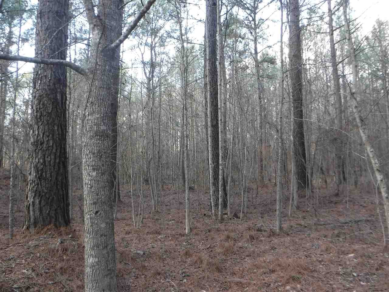 0 Chisolm Road Lexington, MS 39095 - Photo 7 of 16 Photo 7