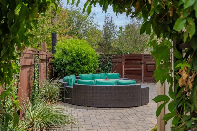 a view of a garden with plants