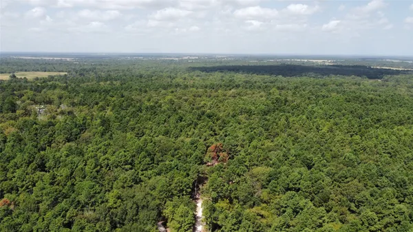 $962,800 | 66-ac Tanyard Church Lane, Midway, TX 75852