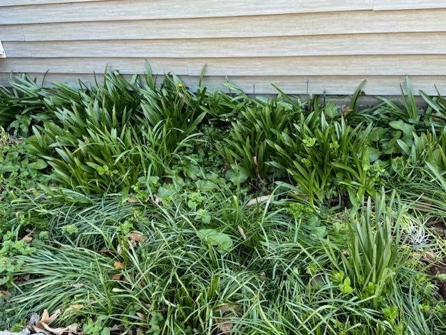 3609 Bennett Springs Road Salem, VA 24153 - Photo 45 of 55 side flower bed
