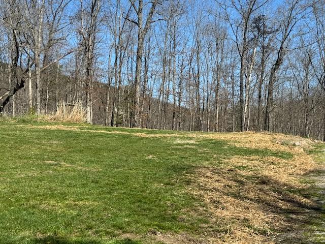 3609 Bennett Springs Road Salem, VA 24153 - Photo 46 of 55 flat side field