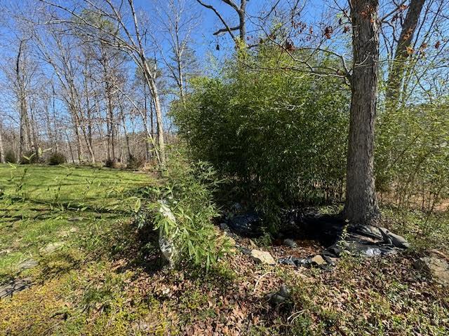 3609 Bennett Springs Road Salem, VA 24153 - Photo 47 of 55 pond