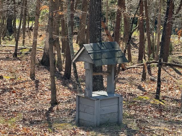 3609 Bennett Springs Road Salem, VA 24153 - Photo 49 of 55 well cover
