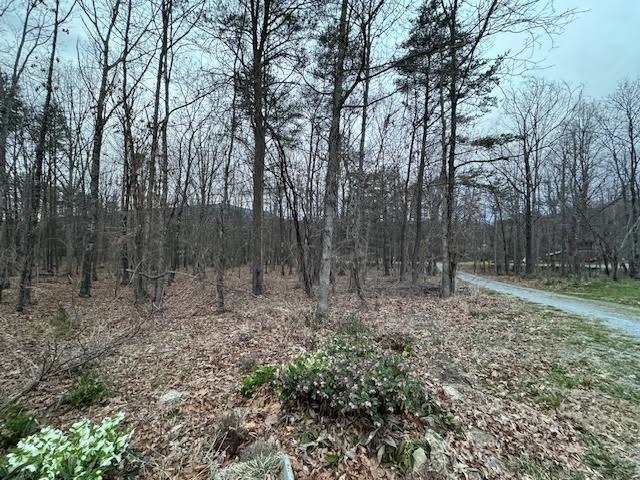 3609 Bennett Springs Road Salem, VA 24153 - Photo 50 of 55 driveway