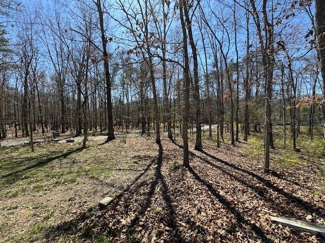 3609 Bennett Springs Road Salem, VA 24153 - Photo 51 of 55 beautiful views throughout