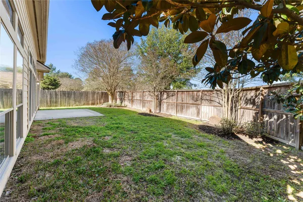 a view of a yard with plants and trees