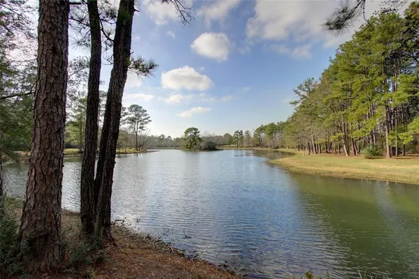 a view of house with garden and tall trees