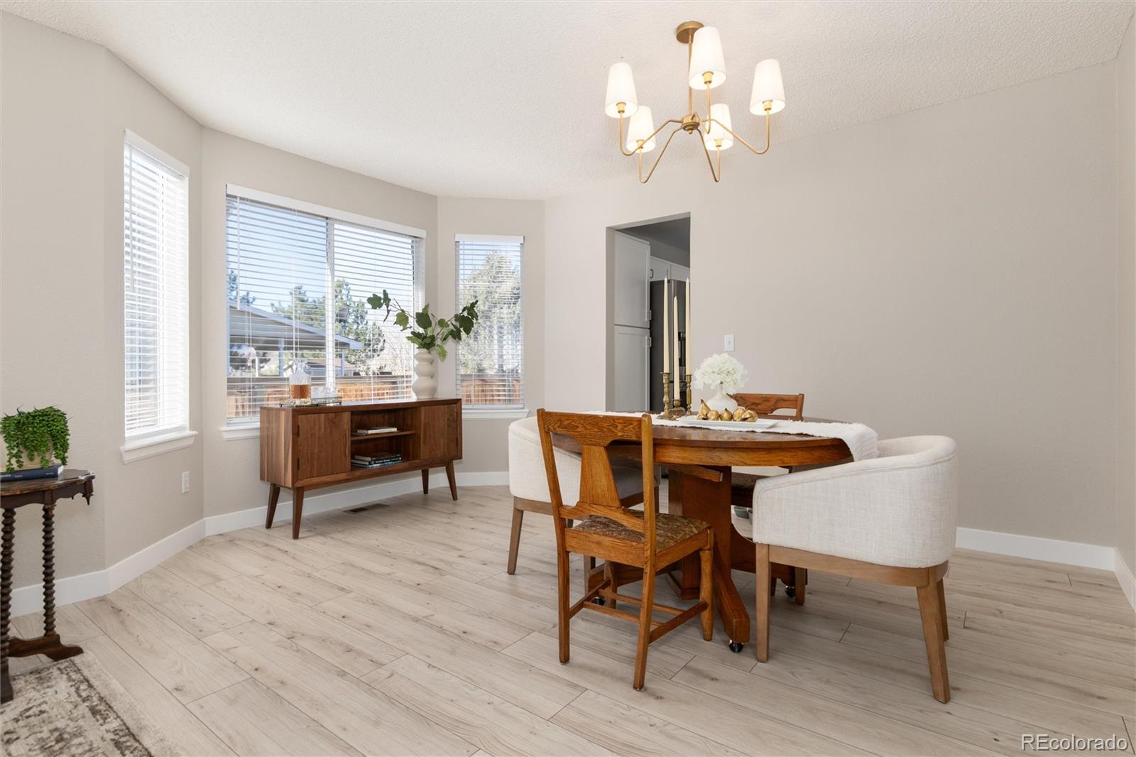 10075 Silver Maple Road Highlands Ranch, CO 80129 - Photo 12 of 50