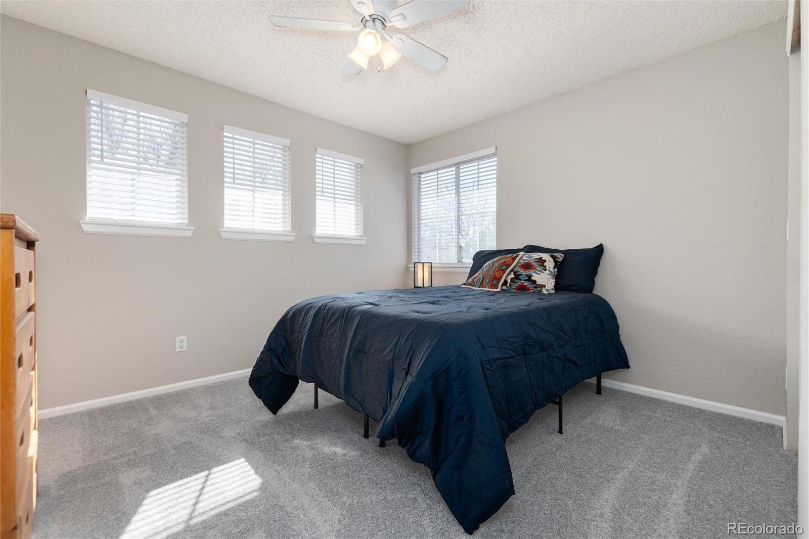 10075 Silver Maple Road Highlands Ranch, CO 80129 - Photo 36 of 50