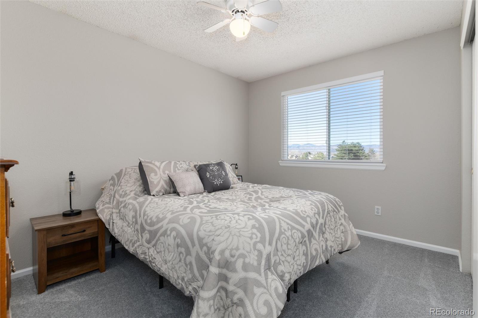 10075 Silver Maple Road Highlands Ranch, CO 80129 - Photo 38 of 50