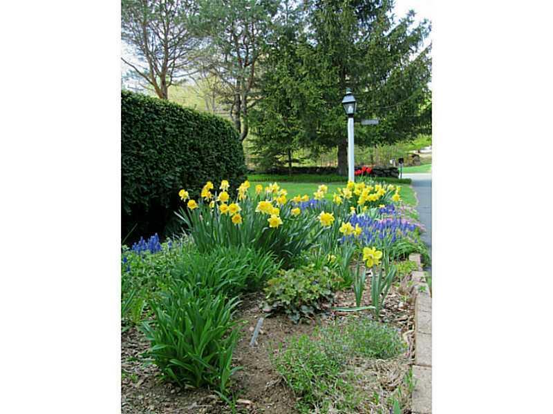 372 Twombley Road Sanford, ME 04073 - Photo 5 of 18 Yard/Garden.
